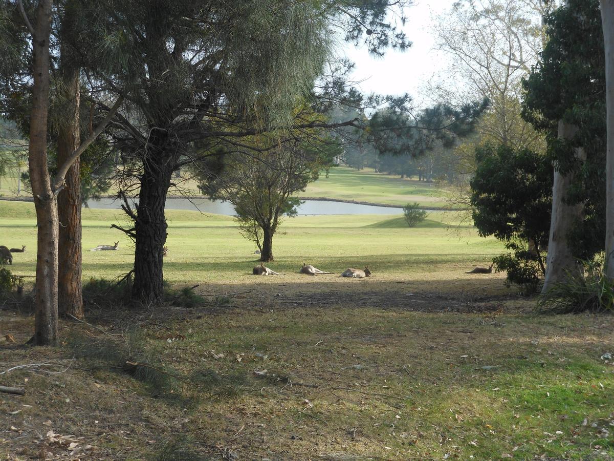 Golf View Motel Sanctuary Point Exteriör bild